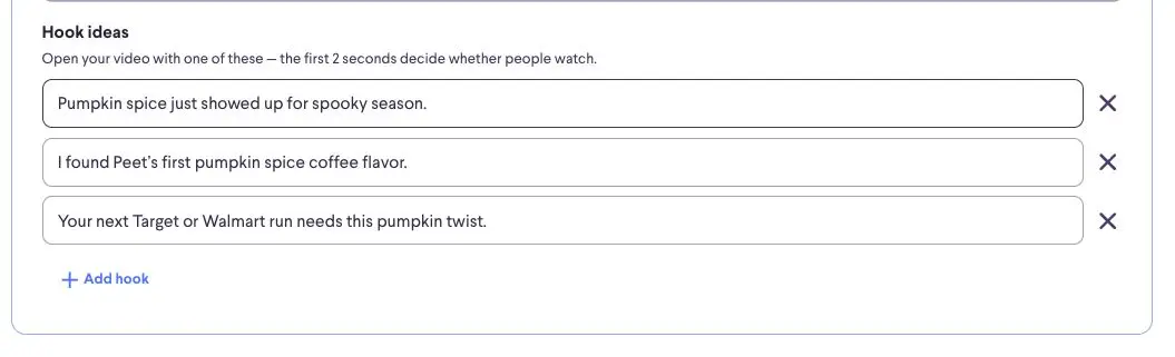 The "Hook ideas" section allows users to input catchy opening lines for their videos, with suggestions provided to capture viewer attention in the crucial first two seconds. Users can add multiple hook ideas and remove them as needed.